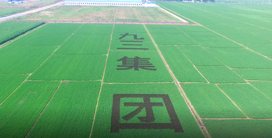 湖南金沃财智,金蝶软件,金蝶财务软件
